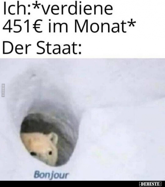 Ich: *verdiene 451€ im Monat*..