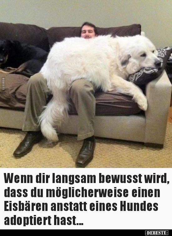 Wenn dir langsam bewusst wird, dass du möglicherweise.. - Lustige Bilder | DEBESTE.de