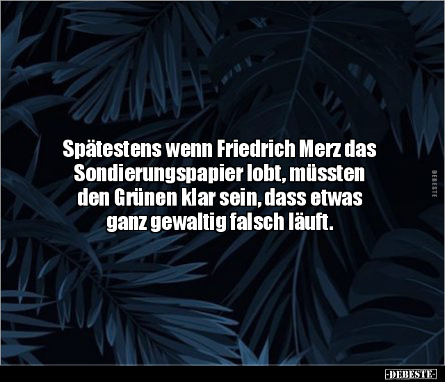 Spätestens wenn Friedrich Merz das Sondierungspapier lobt.. - Lustige Bilder | DEBESTE.de