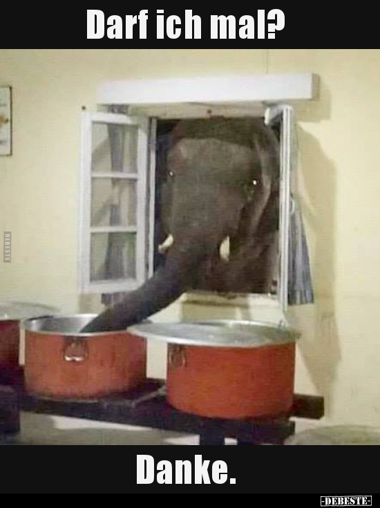 Darf ich mal? Danke...
