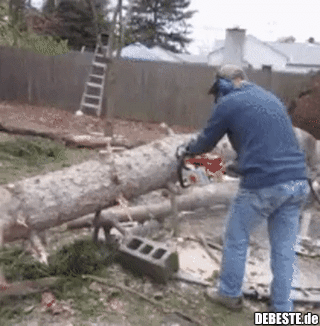 Und das Ganze nochmal von vorn..