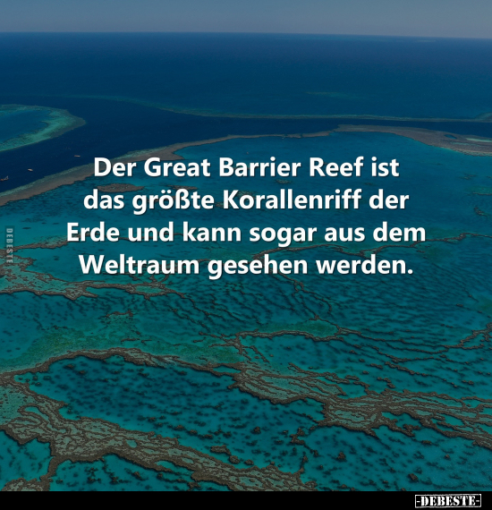 Der Great Barrier Reef ist das größte Korallenriff der Erde.. - Lustige Bilder | DEBESTE.de