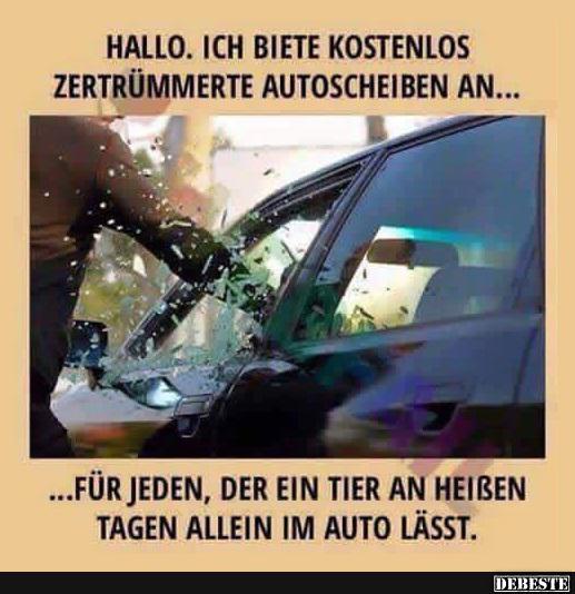 Hallo, ich biete kostenlos zertrümmerte Autoscheiben an.. - Lustige Bilder | DEBESTE.de