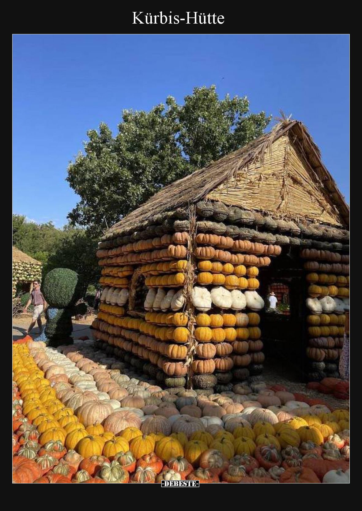 Kürbis-Hütte
