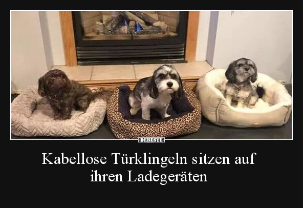 Kabellose Türklingeln sitzen auf ihren Ladegeräten.. - Lustige Bilder | DEBESTE.de