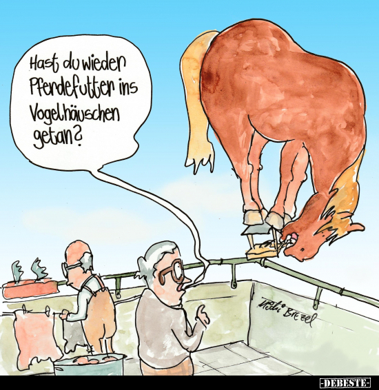 Hast du wieder Pferdefutter ins Vogelhäuschen getan?.. - Lustige Bilder | DEBESTE.de