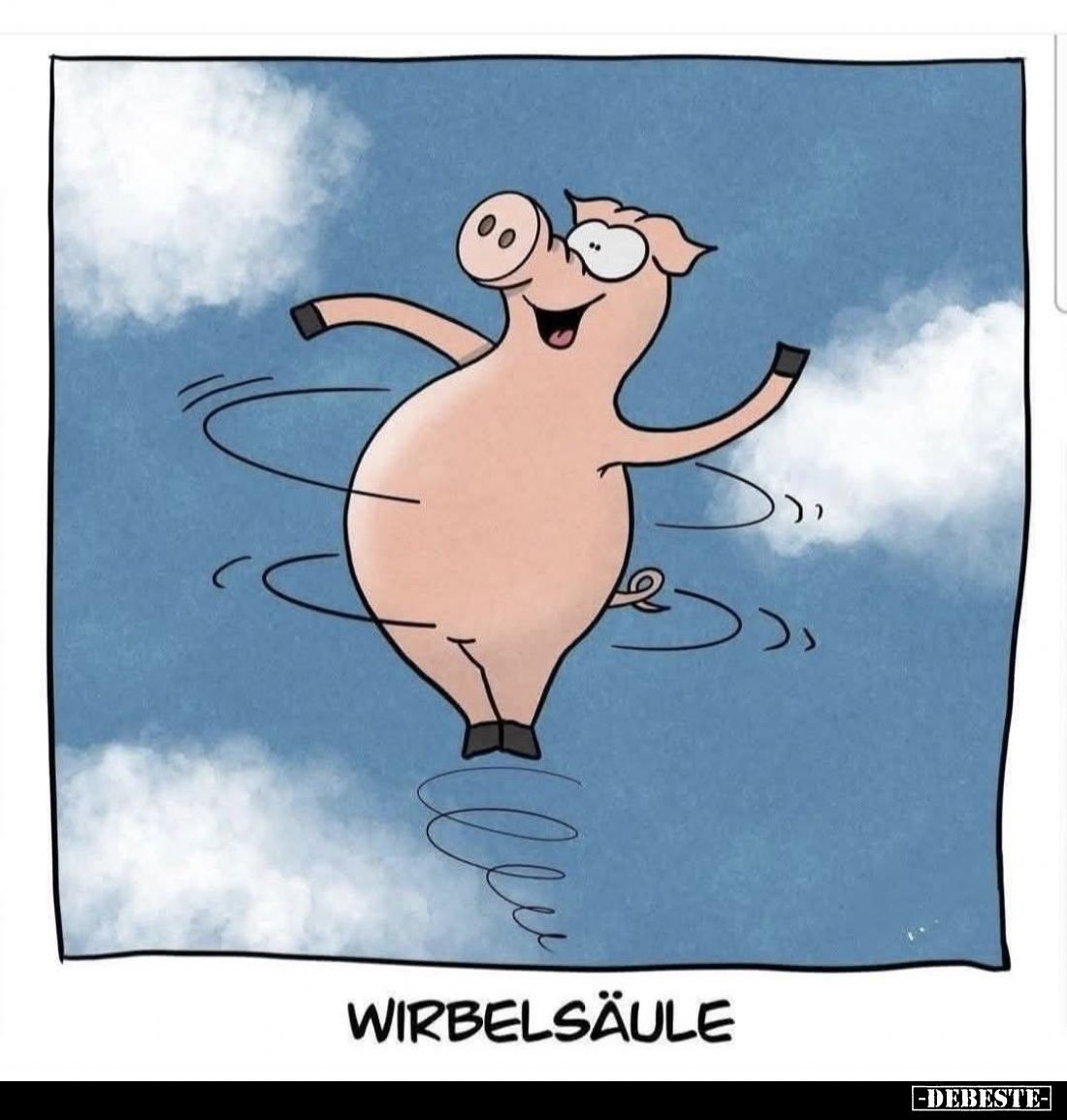 Wirbelsäule.