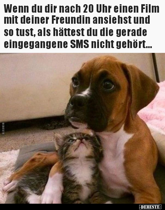 Wenn du dir nach 20 Uhr einen Film mit deiner Freundin..