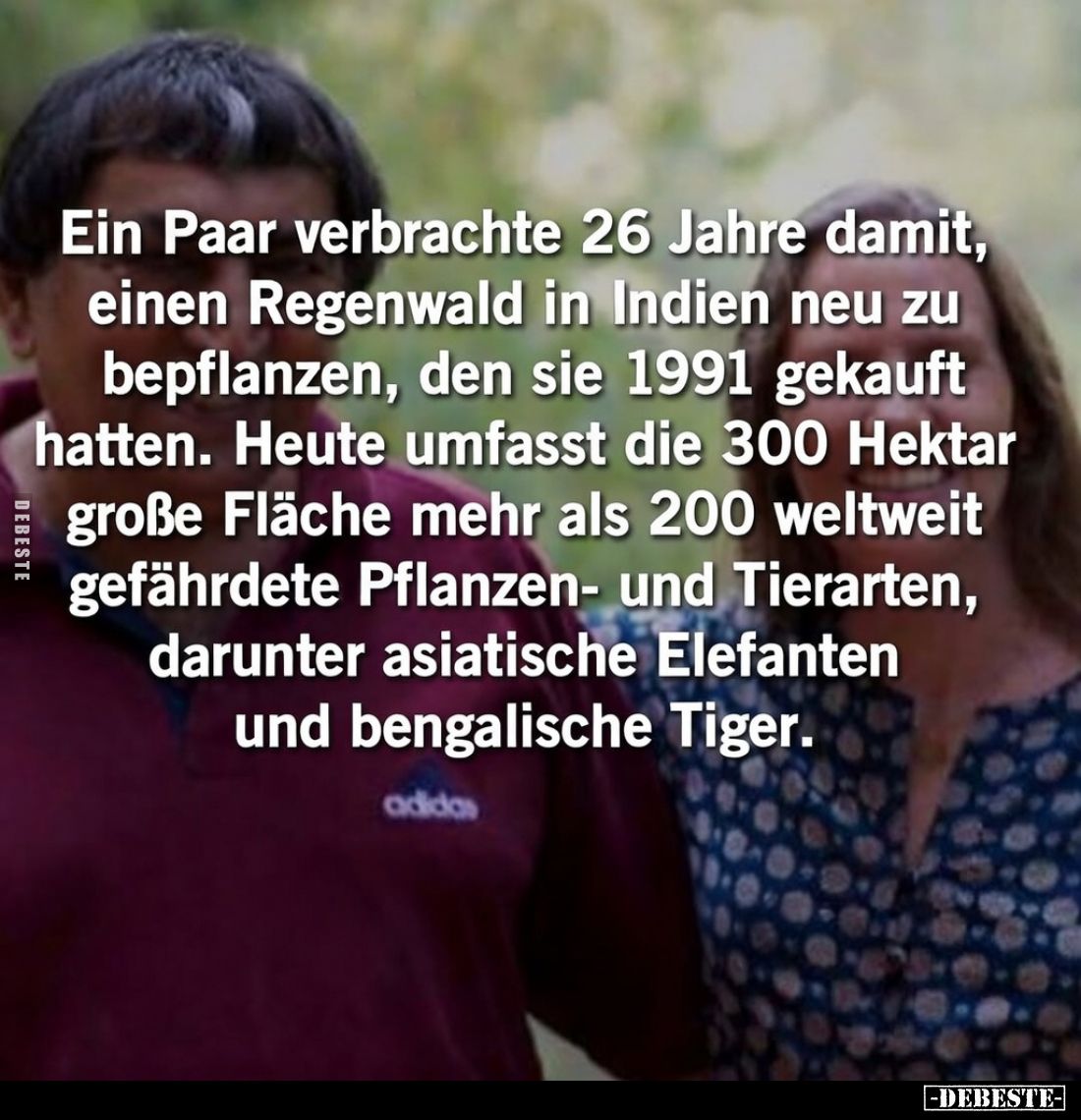 Ein Paar verbrachte 26 Jahre damit, einen Regenwald in.. - Lustige Bilder | DEBESTE.de