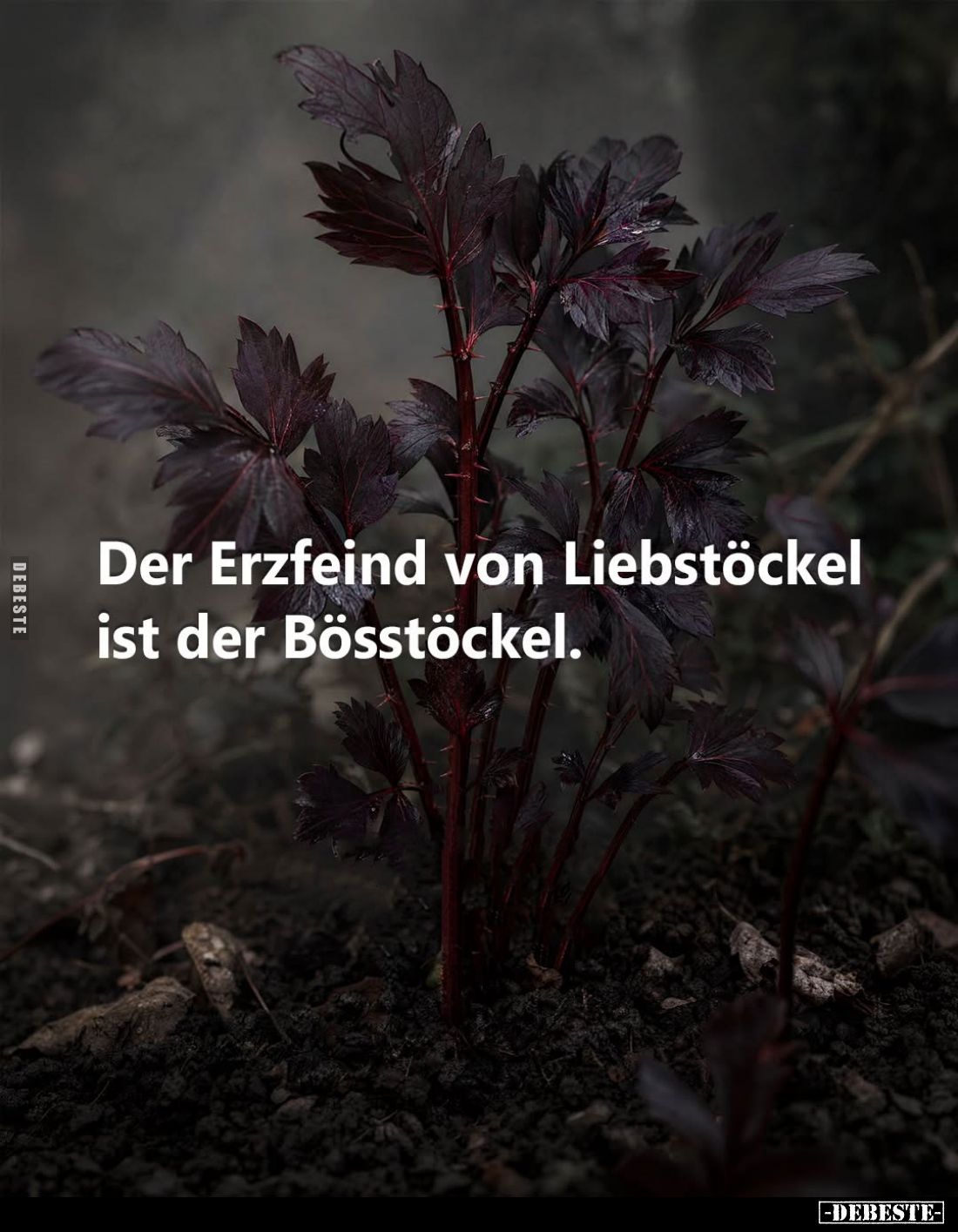 Der Erzfeind von Liebstöckel ist der Bösstöckel.