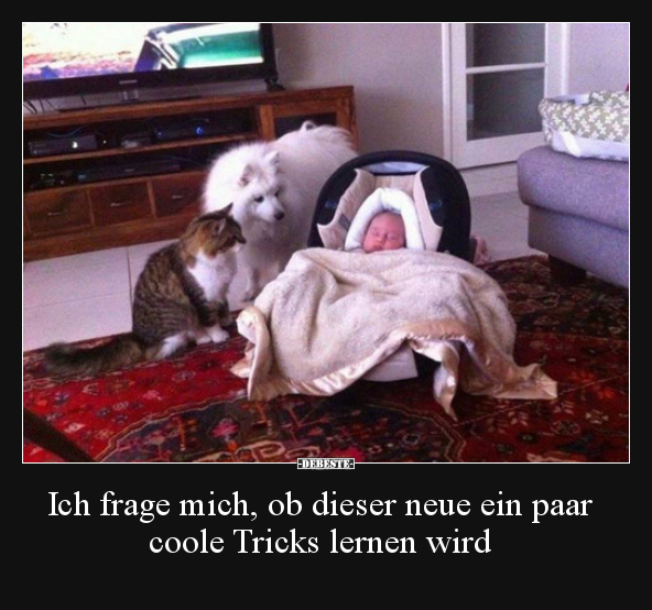 Ich frage mich, ob dieser neue ein paar coole Tricks.. - Lustige Bilder | DEBESTE.de