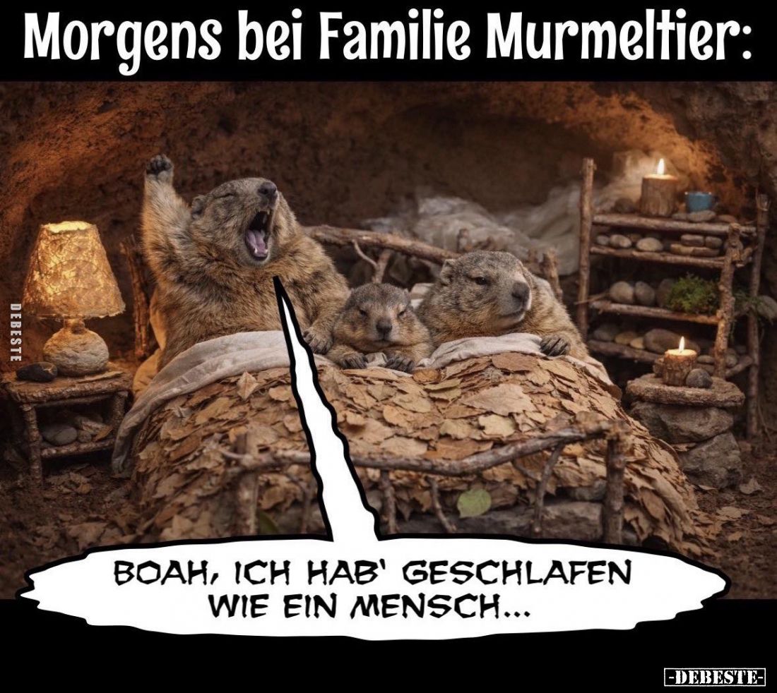 Morgens bei Familie Murmeltier:
-
Boah, ich hab' geschlafen wie ein Mensch...