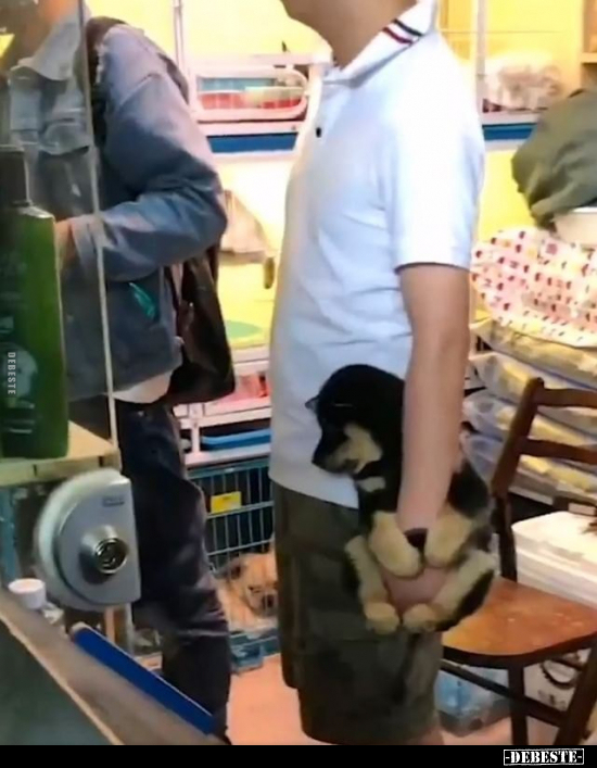  - Lustige Bilder | DEBESTE.de