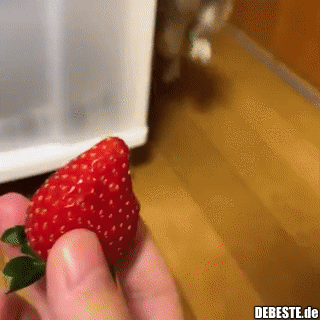 Was ist das denn?...