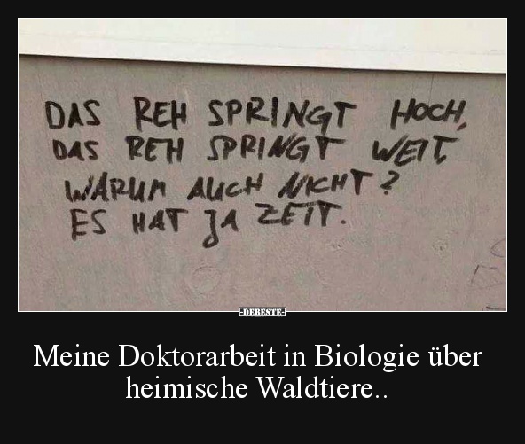 Meine Doktorarbeit in Biologie über heimische Waldtiere.. - Lustige Bilder | DEBESTE.de