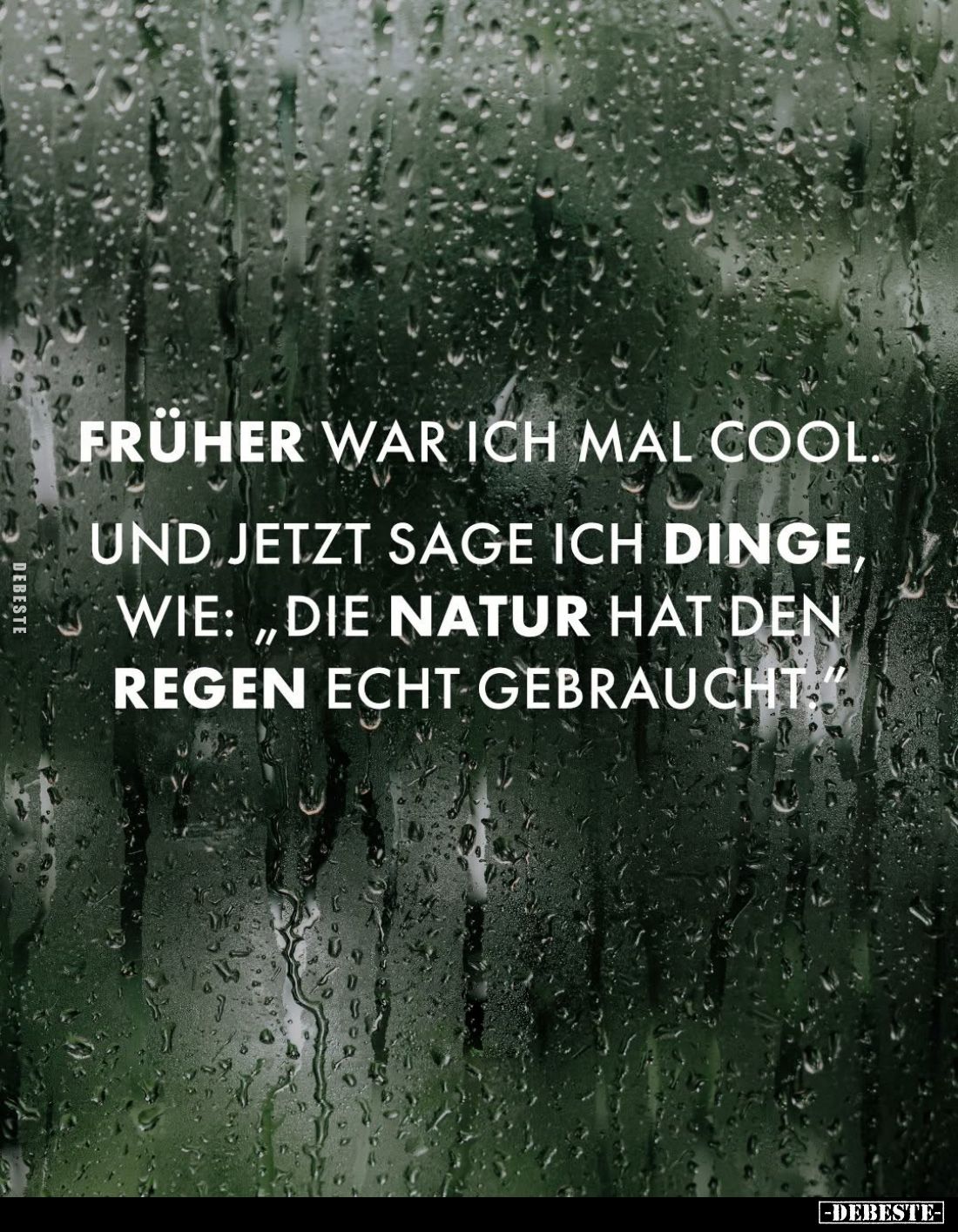 Früher war ich mal cool.
Und jetzt sage ich Dinge, wie: "Die Natur hat den Regen echt gebraucht."