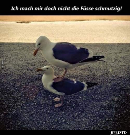 Ich mach mir doch nicht die Füsse schmutzig!