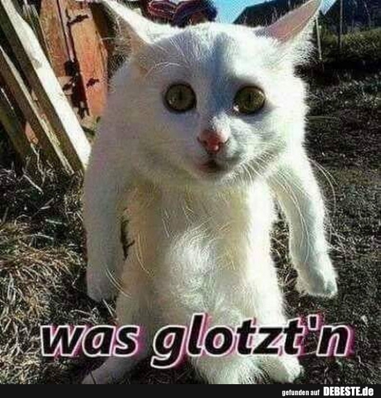 Was glotzt'n