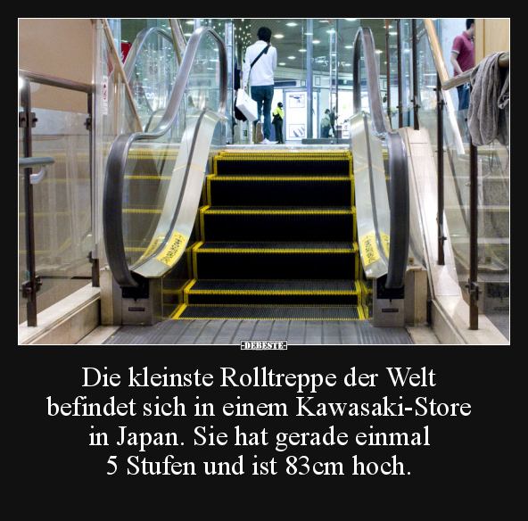 Die kleinste Rolltreppe der Welt befindet sich in einem.. - Lustige Bilder | DEBESTE.de