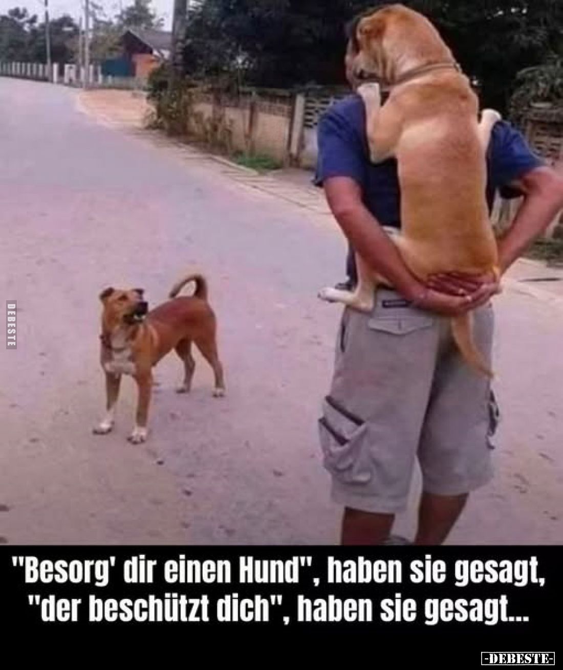 "Besorg' dir einen Hund", haben sie gesagt, "der beschützt dich", haben sie gesagt...