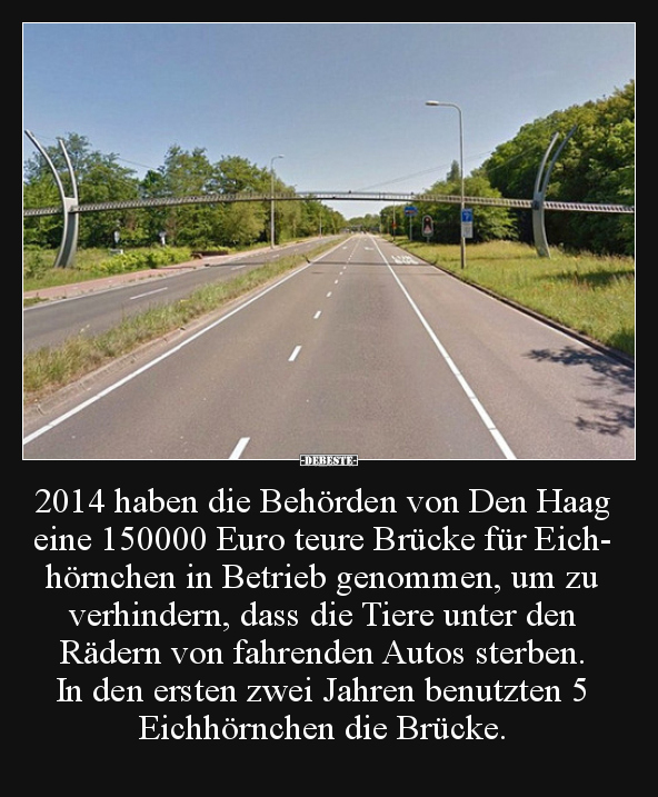 2014 haben die Behörden von Den Haag eine 150000 Euro.. - Lustige Bilder | DEBESTE.de