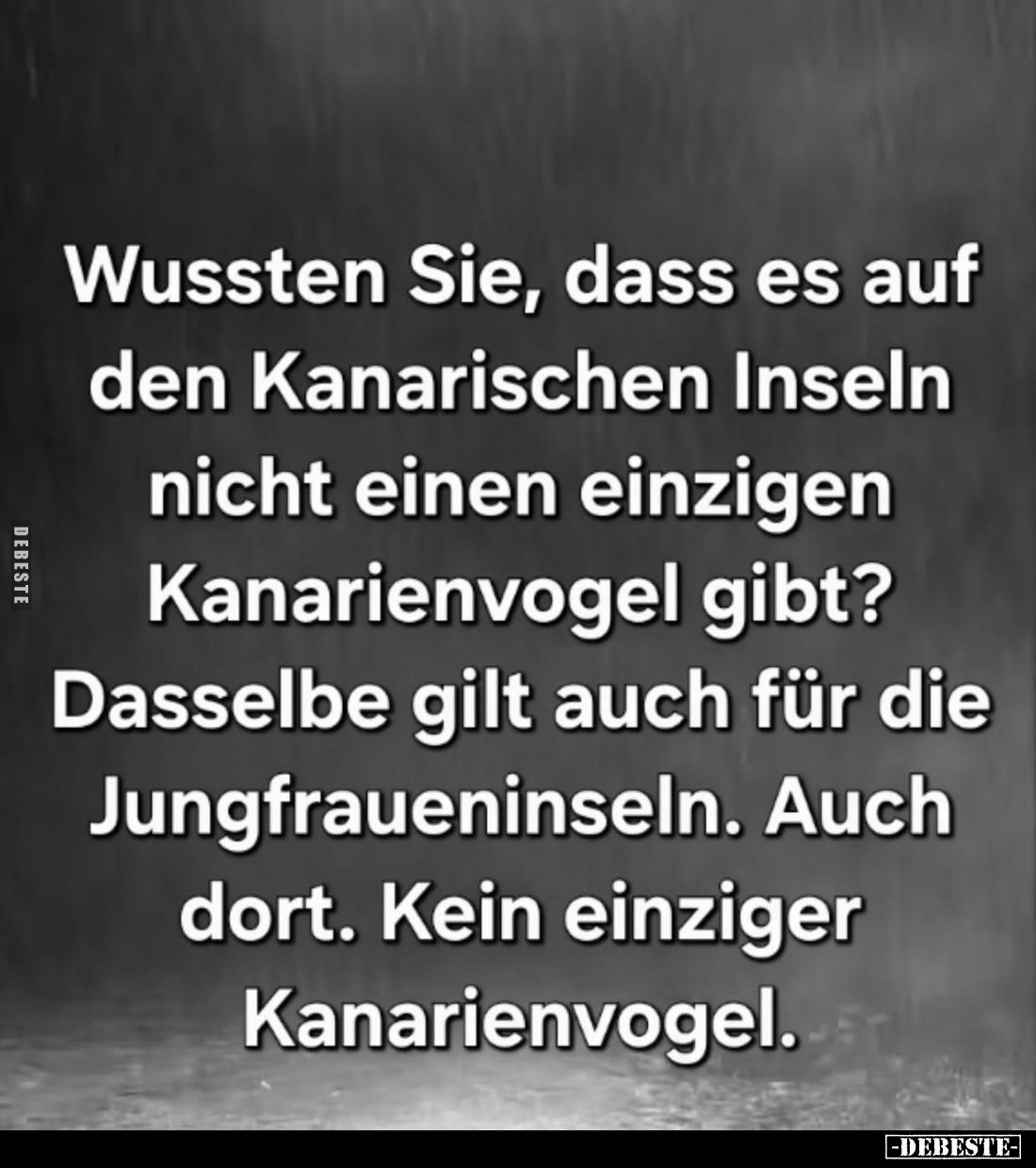 Wussten Sie, dass es auf den Kanarischen Inseln nicht einen einzigen Kanarienvogel gibt? Dasselbe gilt auch für die Jungfraue...