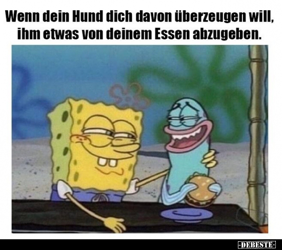 Wenn dein Hund dich davon überzeugen will, ihm etwas von..