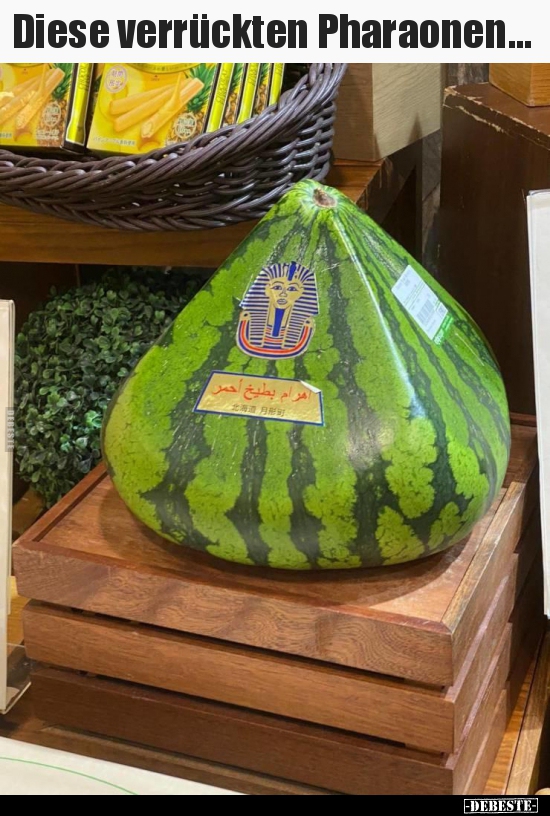 Diese verrückten Pharaonen...
