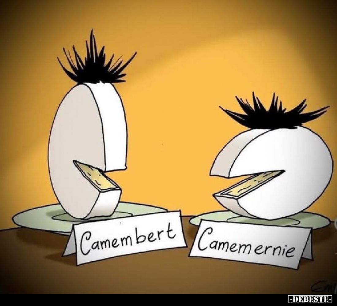 Camembert /
Camemernie