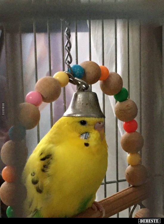  - Lustige Bilder | DEBESTE.de