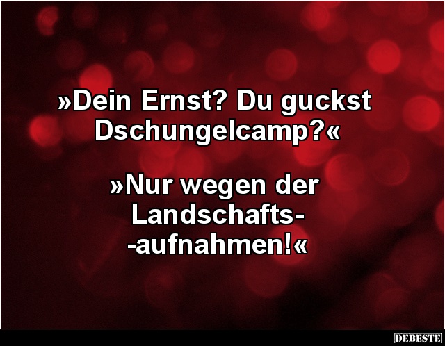 Dein Ernst? Du guckst Dschungelcamp? - Lustige Bilder | DEBESTE.de