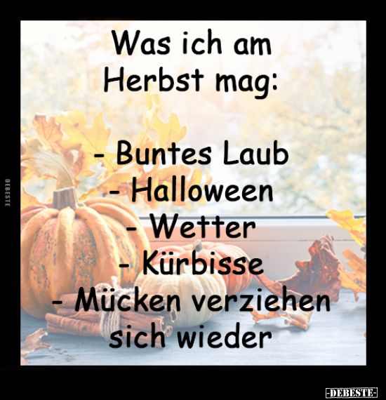 Was ich am Herbst mag.. - Lustige Bilder | DEBESTE.de