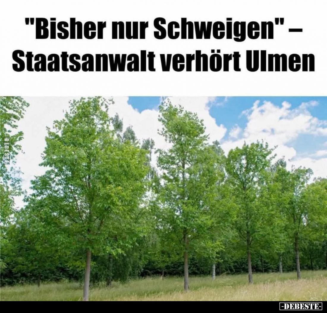 "Bisher nur Schweigen" – Staatsanwalt verhört Ulmen.
