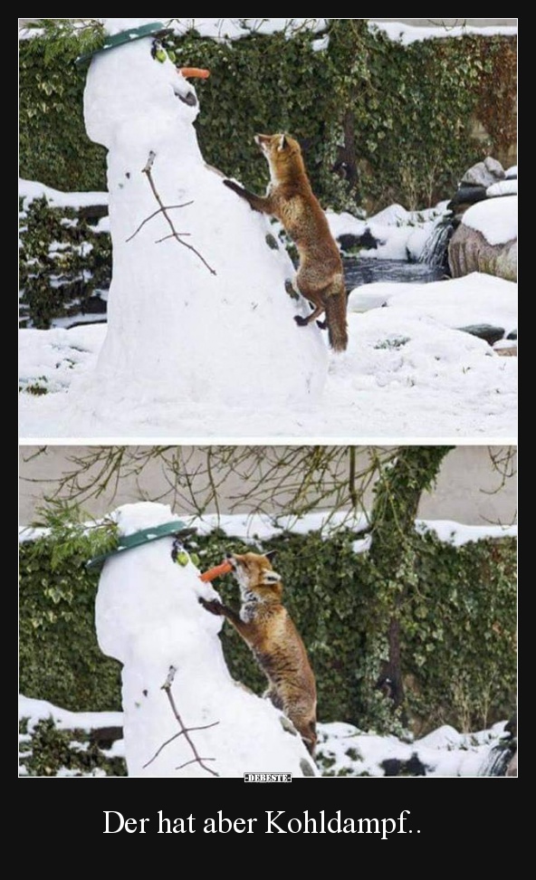 Der hat aber Kohldampf..