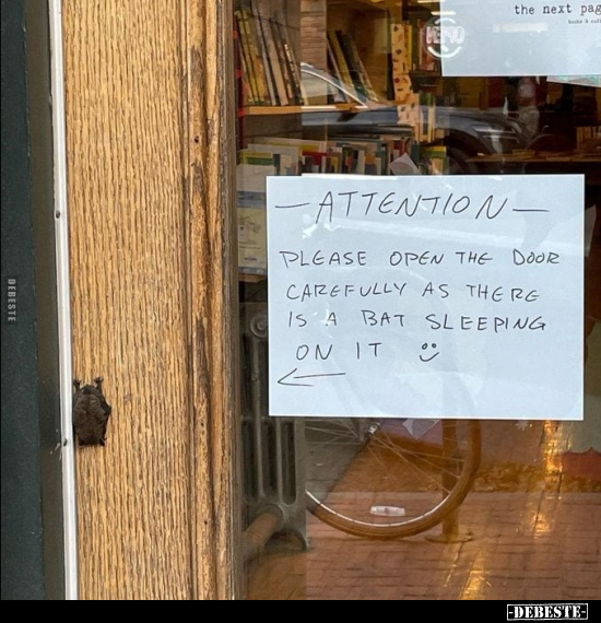  - Lustige Bilder | DEBESTE.de