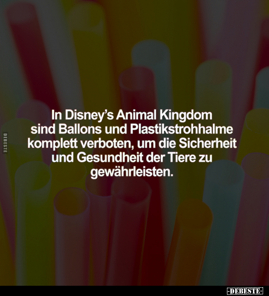 In Disney's Animal Kingdom sind Ballons.. - Lustige Bilder | DEBESTE.de