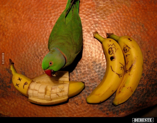  - Lustige Bilder | DEBESTE.de