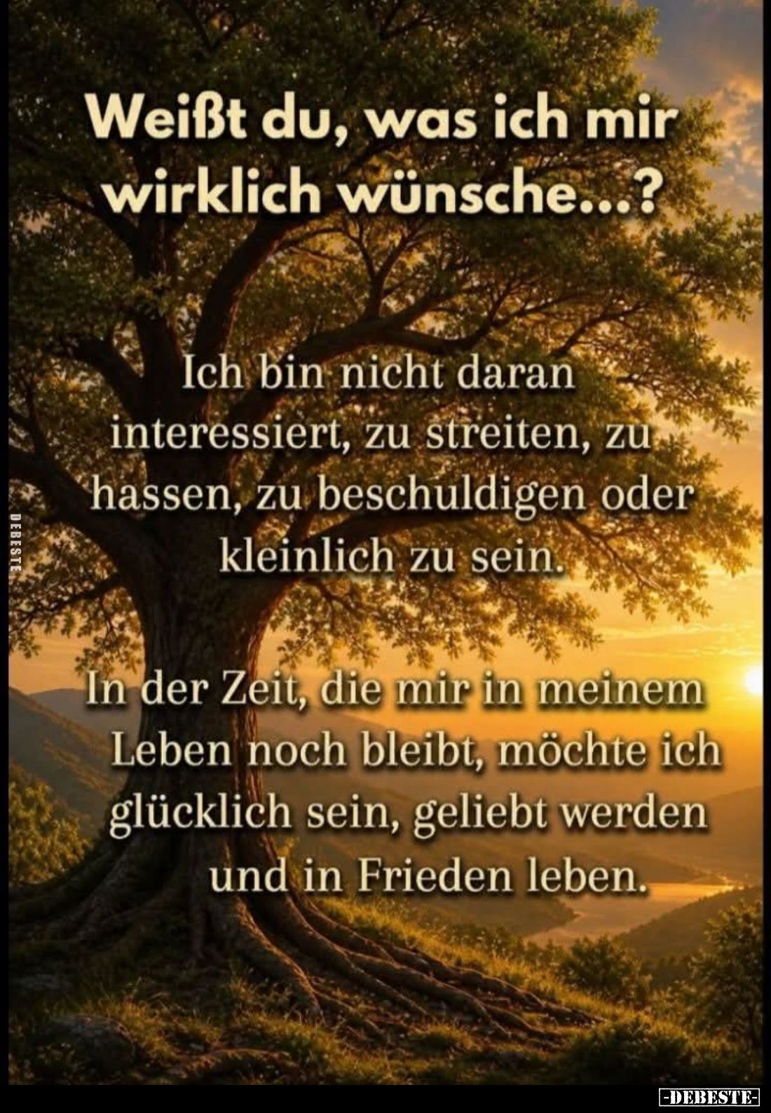 Weißt du, was ich mir wirklich wünsche...?
Ich bin nicht daran interessiert, zu streiten, zu hassen, zu beschuldigen oder kl...