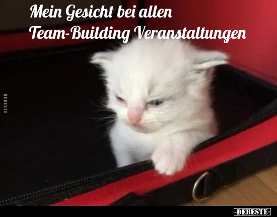 Mein Gesicht bei allen Team-Building Veranstaltungen.. - Lustige Bilder | DEBESTE.de