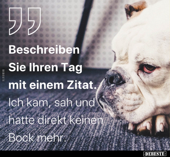 "Beschreiben Sie ihren Tag mit einem Zitat.".. - Lustige Bilder | DEBESTE.de