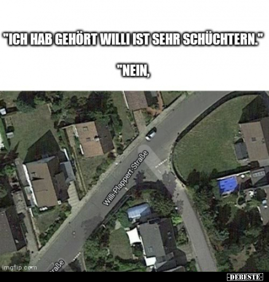 "Ich hab gehört, Willi ist sehr schüchtern."