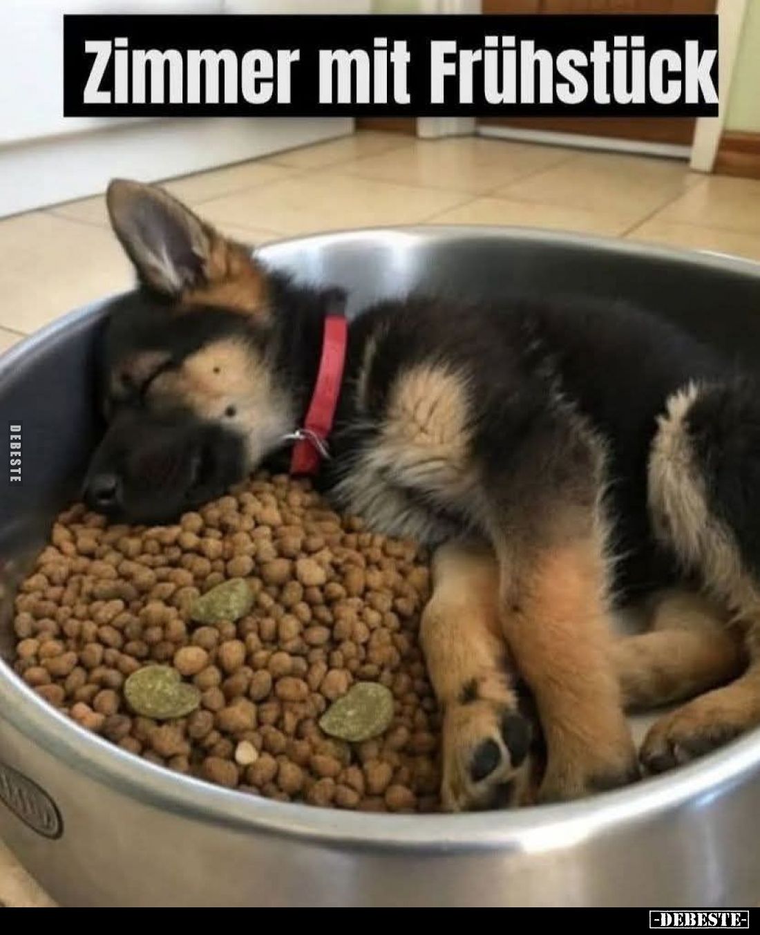 Zimmer mit Frühstück.