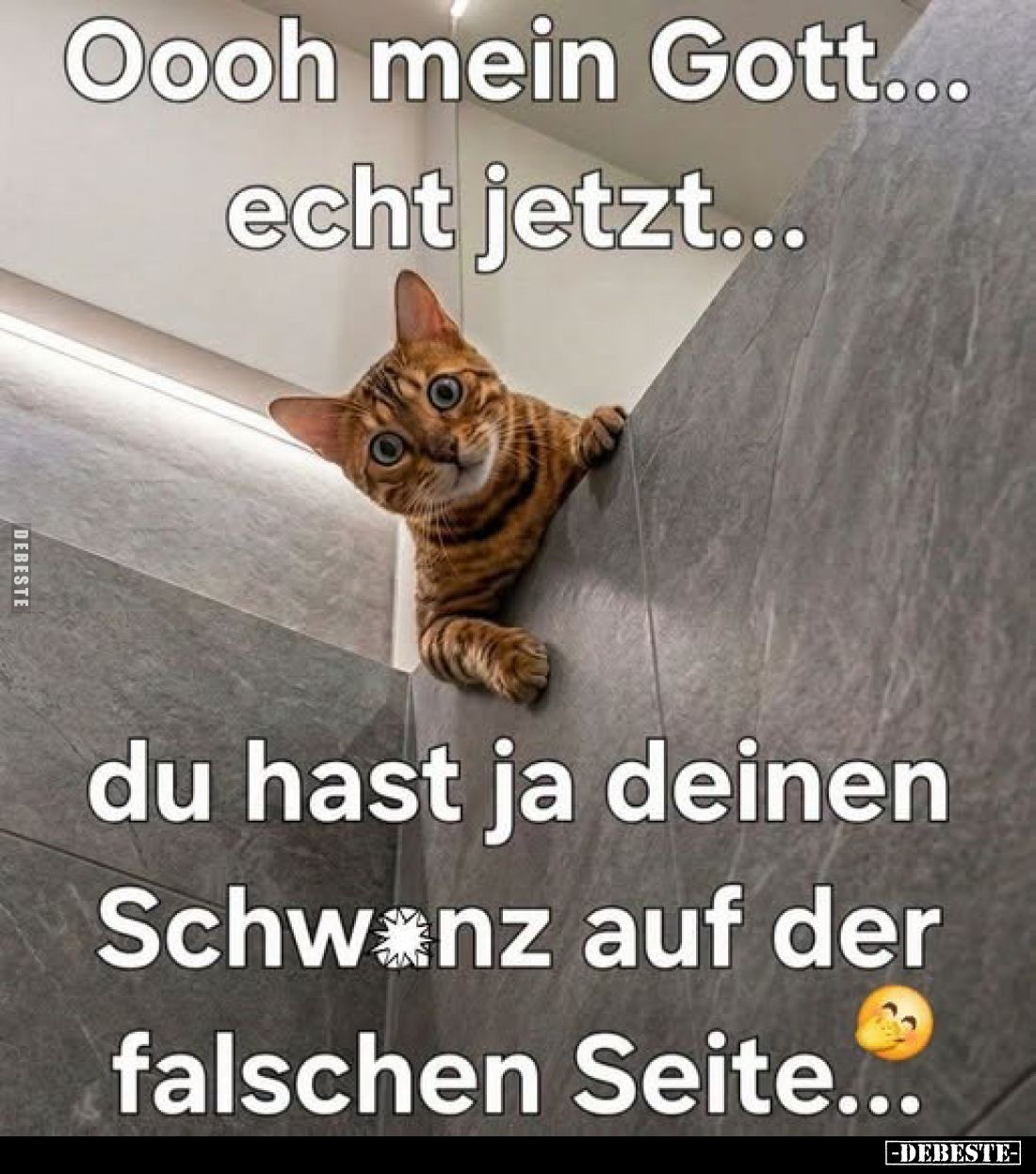 Oooh mein Gott... echt jetzt...
du hast ja deinen Schwanz auf der falschen Seite...