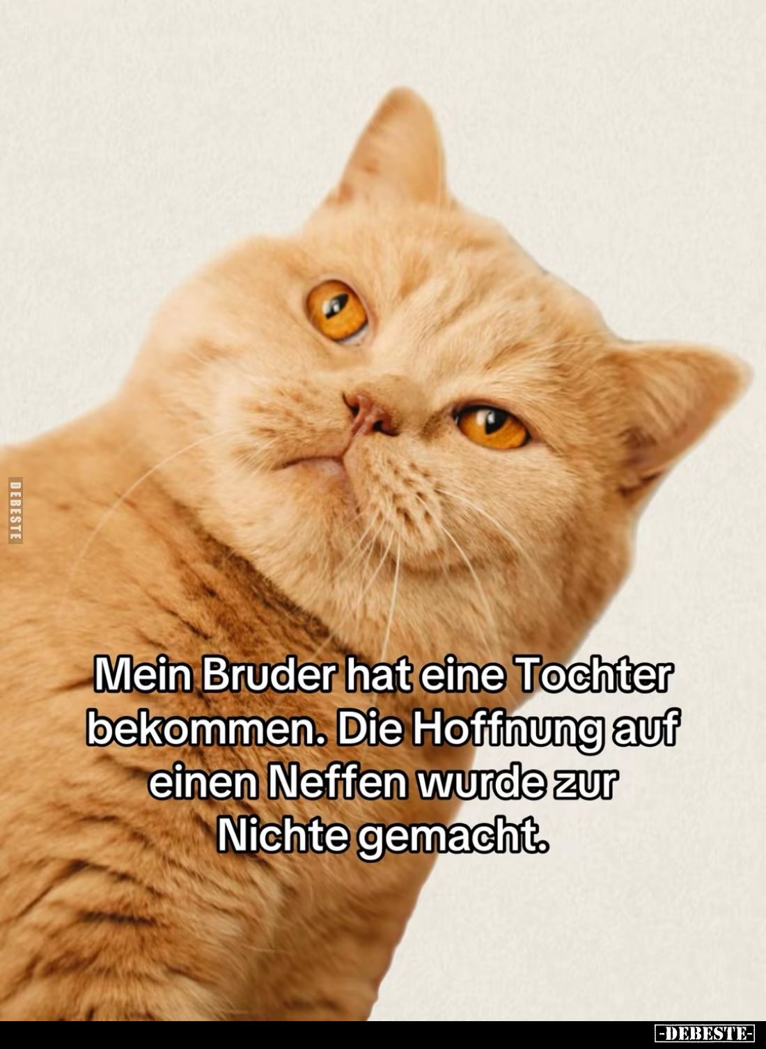 Mein Bruder hat eine Tochter bekommen. Die Hoffnung auf einen Neffen wurde zur Nichte gemacht.
