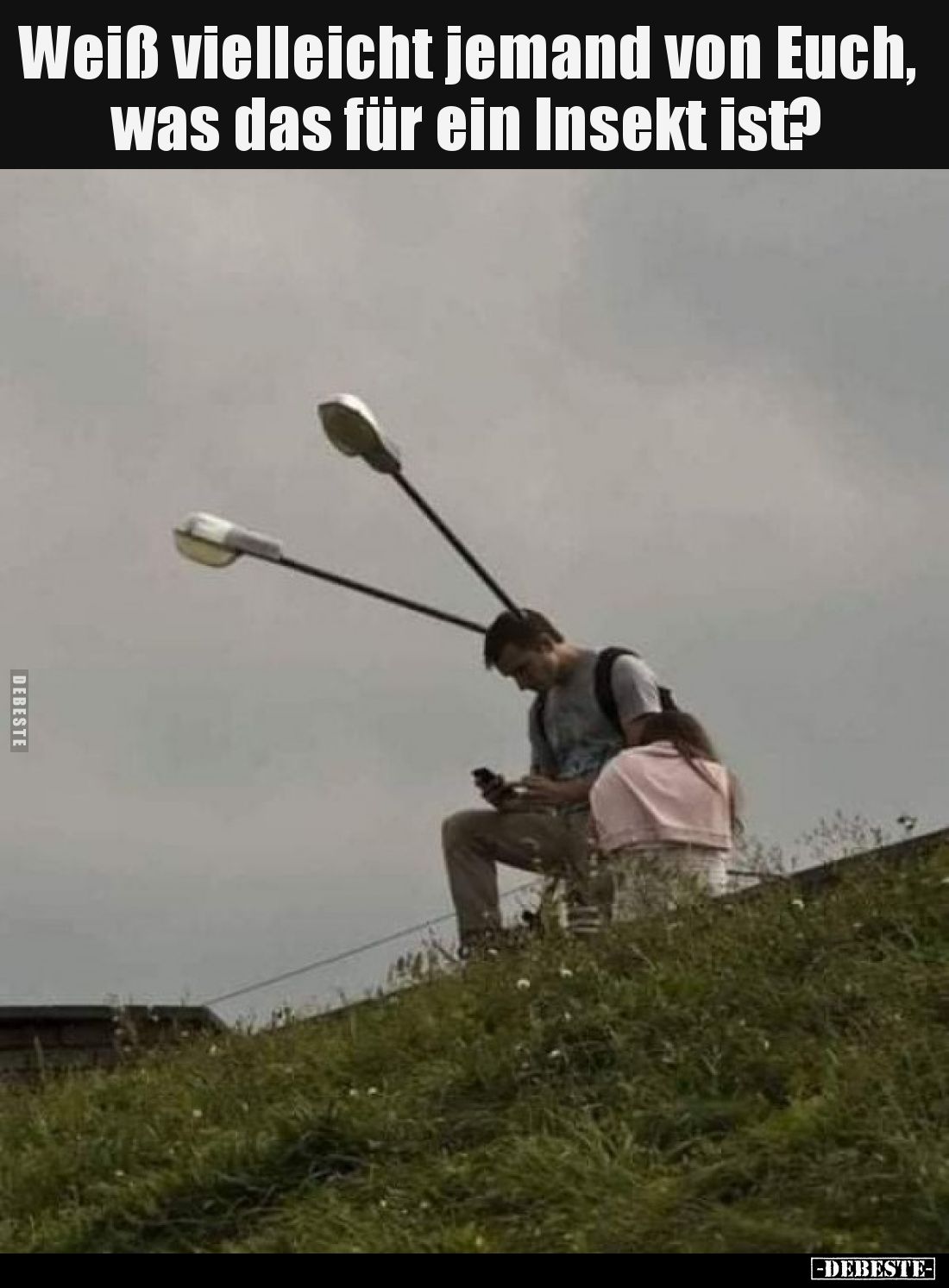 Weiß vielleicht jemand von Euch, was das für ein Insekt ist?