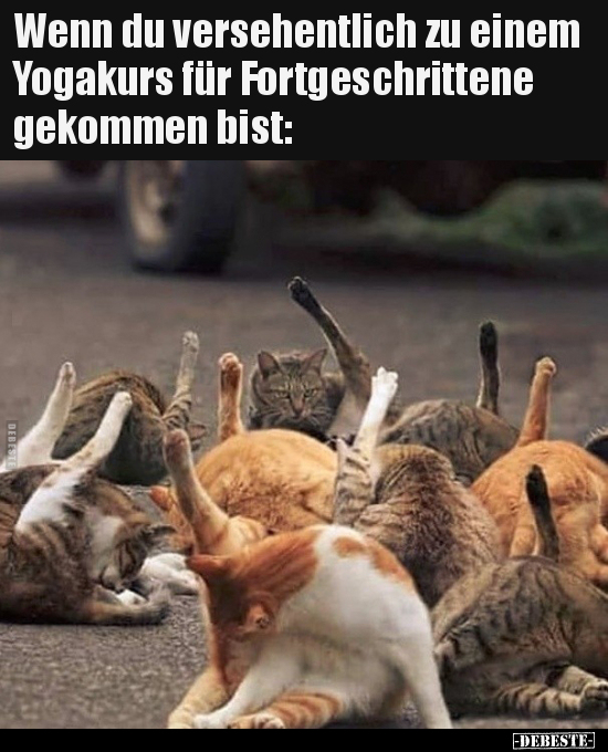 Wenn du versehentlich zu einem Yogakurs für..