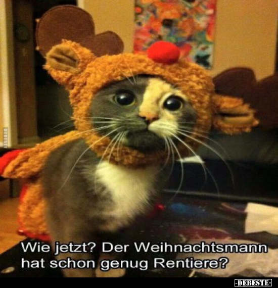 Wie jetzt? Der Weihnachtsman hat schon genug Rentiere? - Lustige Bilder | DEBESTE.de