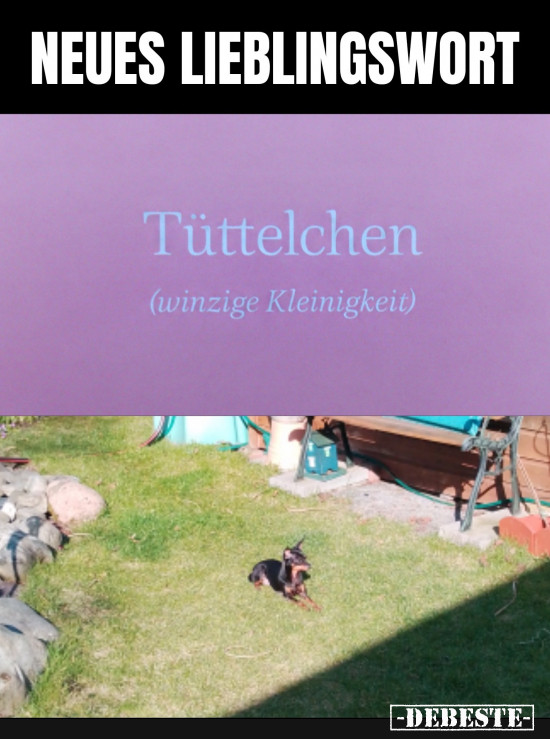 Bild