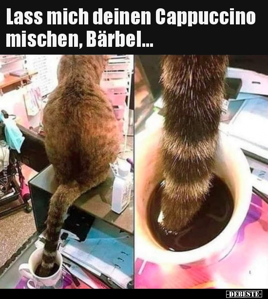 Lass mich deinen Cappuccino mischen, Bärbel... - Lustige Bilder | DEBESTE.de