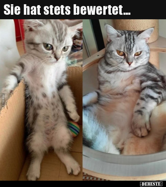 Sie hat stets bewertet...